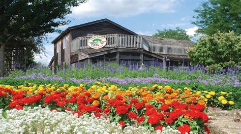 Downtown dubuque shopping  The majority of its stores anchor shopping malls or lifestyle centers