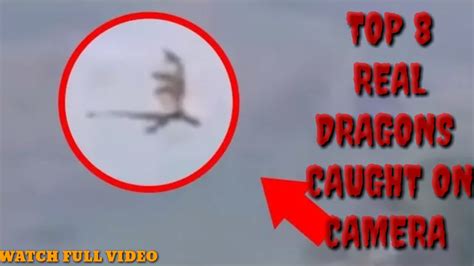 Dragon caught on camera in japan  It was fun to imagine how a group would promote dragons and make them go viral
