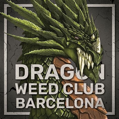 Dragon weed club barcelona reviews  Make sure you take your ID