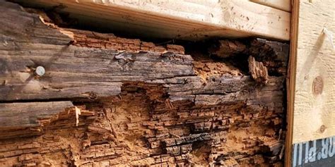 Dry rot repair yuba city  Learn more about drywall repair costs
