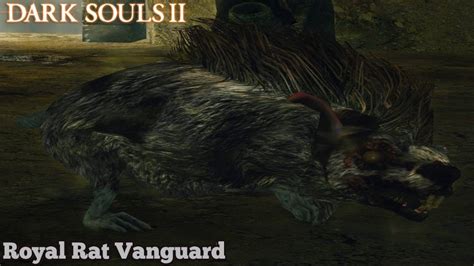 Ds2 royal rat vanguard soul  High SL build to farm rat boss: Stuff you need: 8 Casts of Soul Appease