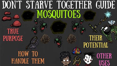 Dst mosquito sack  新版本加入了新的游戏内容，包括新的角色、生态环境、生物、游戏机制，季节效果等。