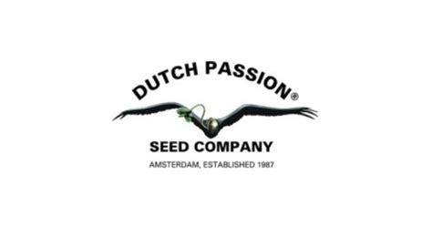 Dutch passion promo code  Passion Fruit - 3PACK