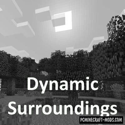 Dynamic surroundings mod 1.19.2  Minecraft 1