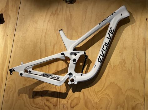 2024 EVOLVE Alpha 29 V1 Frameset - White/Black For Sale