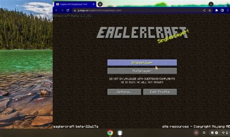 Eagtek minecraft chromebook  3