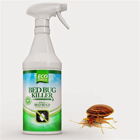 Eco defense bed bug killer reviews 95 for 128 oz bottle