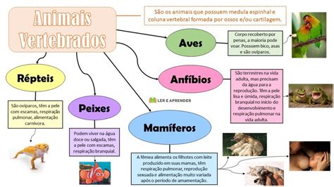 Ef03ci06  formular, negociar e defender ideias, pontos de vista e decisões comuns dáticas que favoreçam a reflexão, que estimulem a socialização de conheci-