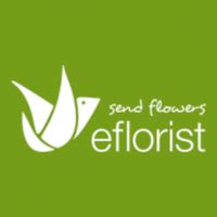 Eflorist complaints  Date of experience: 29 January 2022