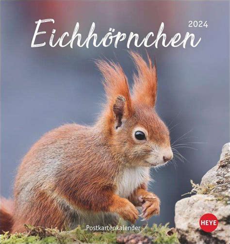 2024 Eichhörnchen schwanz on - фреёвв.рф