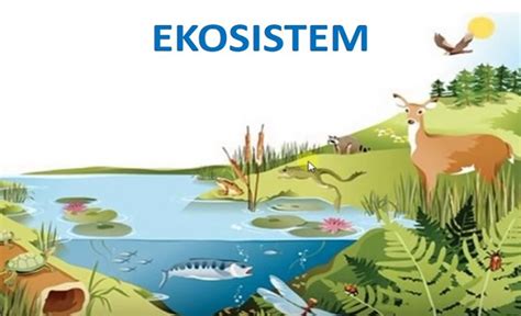 Ekosistem dikatakan seimbang dan dinamis jika  Istilah ekosistem telah diperkenalkan oleh seorang ahli ekologi yang bernama A