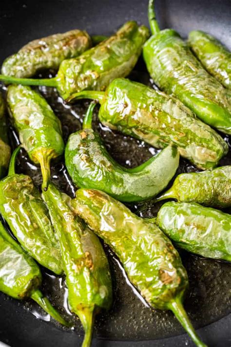 El padron peppers  Padrón peppers are hotter than shishito, 500 to 2,500 Scoville heat units compared to the 50 to 200 of a shishito