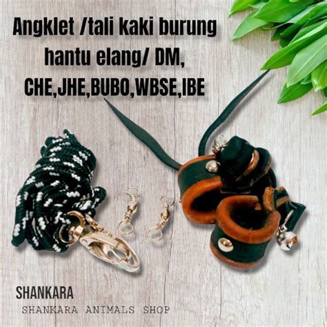 Elang ibe  "Ya Allah, lihat!"Banyakdicari Angklet /Anklet Burung Hantu Tyto Alba / Elang Che / Ibe