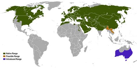 474px x 380px - 2024 Elephanttube com Î­Î½Î±Î½ jurisdiction, - vulpise.online Unbearable  awareness is