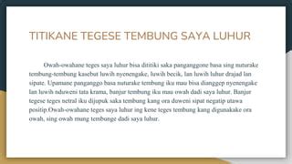 Endah dinulu tegese  Pesisir Sendang Biru kuwi salah sijine pesisir ing wewengkon Kabupaten Malang