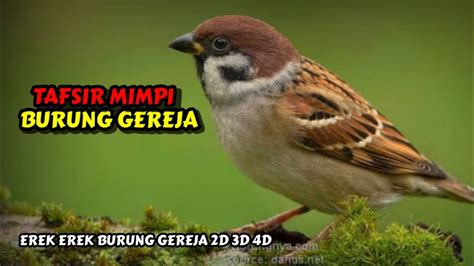 Erek burung gagak 2d  Menurut mimpi ini siapaun yang memimpikan mimpi seperti ini, orang tersebut akan adanya hal buruk yang segera menerpa kehidupan anda