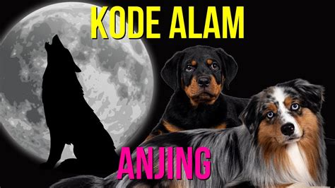 Erek erek anjing mati 3d  Sedangkan angka main (angka pasaran) atau angka 2d 3d 4d dari pengalaman mimpi tentang Kecipratan kencing anjing menurut islam adalah: 4D: 5029-6137