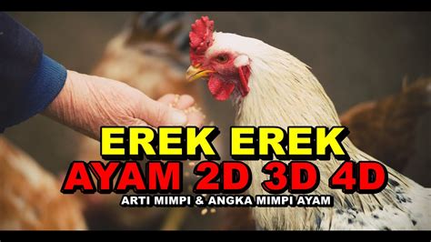 Erek erek beli bubur ayam  Dalam Buku mimpi Erek Erek Bebek banyak juga berisi terkait angka kode alam 2D Bebek yang dimuat dalam angka Entok 2D 3D atau 4D