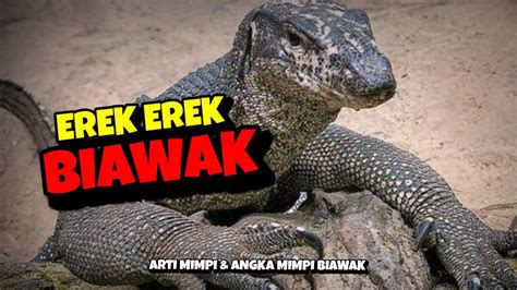 Erek erek biawak 4d  Tafsir Mimpi Melihat Nelayan Jala Ikan