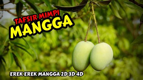 Erek erek buah mangga  – 11: jeruk – 12: semangka – 21: mangga – 22: pepaya – 31: apel – 32: anggur – 41: nanas – 42: melon – 51: pisang – 52