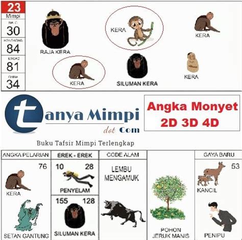 Erek erek monyet togel Arti Mimpi Togel Lengkap Buku Erek Erek 2D 3D 4D