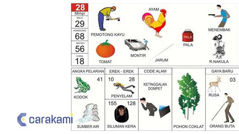 Erek erek nomor 28  2D = 28 ⇔ 67 3D = 202 ⇔ 115 4D = 2544 ⇔ 8100; Mimpi Melihat Anak Babi Bagi anda yang mengalami Mimpi Anak Babi, hal tersebut merupakan perlambang yg baik