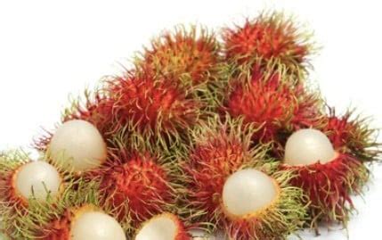 Erek erek rambutan 4d  0886 – 2886