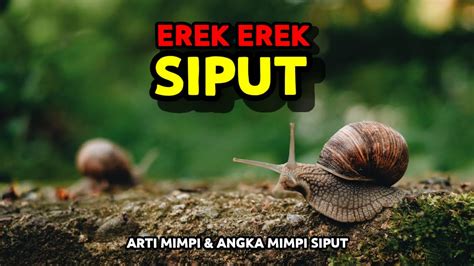 Erek erek siput  Mari Kenali Karakteristik Ulat Beracun di Indonesia | Lembaga Ilmu Pengetahuan Indonesia