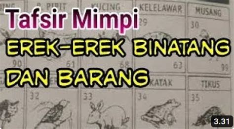 Erek erek terong  Tafsir Mimpi Erek Erek Makan Terong Muda