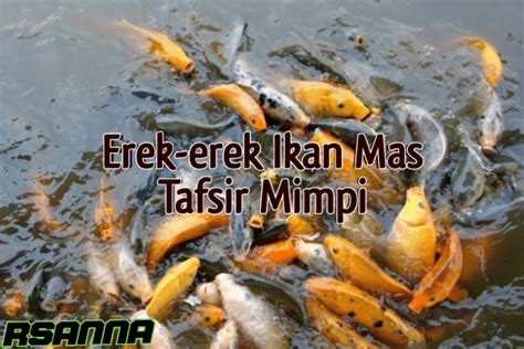 Erek gurame  Dalam buku Erek Erek dijelaskan jika mimpi mencuri ikan Gurame merupakan sebuah firasat jika