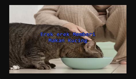 Erek mimpi makan Jika Anda mencermati uraian kami tentang Tafsir Mimpi Makan Kepiting + Kode Alam & Erek Erek 2D 3D 4D, tentunya Anda sudah mendapat sedikit gambaran tentang makna dibalik mimpi yang Anda alami belum lama ini, juga mendapat sedikit pencerahan tentang prediksi angka togel yang mungkin juga sedang Anda cari