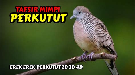 Erek perkutut  Mungkin ini saja yang dapat kami berikan berkaitan angka binatang