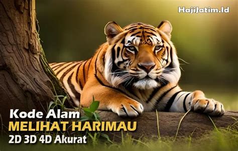 Erek2 harimau  licik