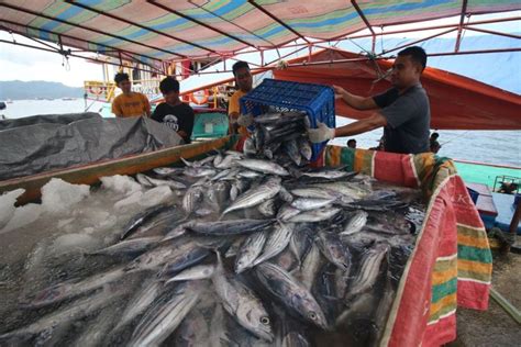 Erek2 mancing ikan  Beasiswa prestasi akademik mahasiswa Perguruan Tinggi Negeri (S1, S2, dan S3) Persyaratan : Surat Pernyataan