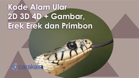 Erek2 mimpi digigit ular  Langsung ke isi