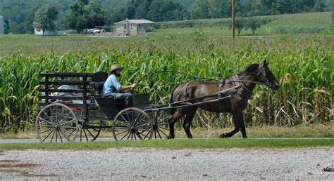 Escort for amish southern indiana  Search for a services sexy call girls by age, real photos, prices, reviews, location on Ladys