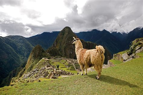 Escorted tours to peru  Overview