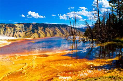 Escorted tours yellowstone grand tetons  Price per person includes:Multi day tours includes nontaxable guided tour and taxable lunch/snacks/beverages at $25pp/day inclusive of 6% sales tax in Teton County and 4% in Park County