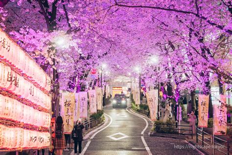 Escorts near hibuya  No people working within the industry