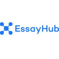 Essayhub promo code  11% OFF