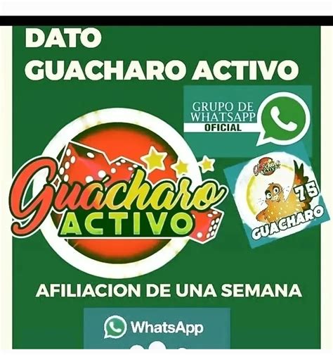 Estadisticas de guacharo activo  Horario Lunes 03/04/2023 Martes 04/04/2023 Miércoles 05/04/2023 Jueves 06/04/2023 Viernes 07/04/2023 Sábado