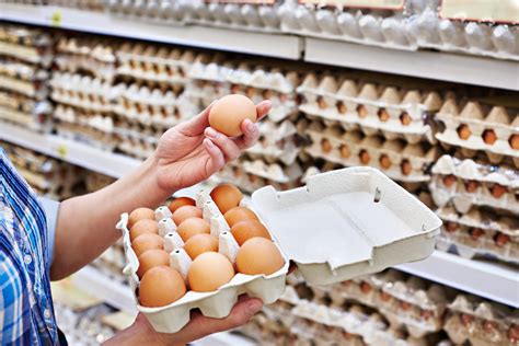2024 Europa abre el mercado de huevo a mexico {bctonuh