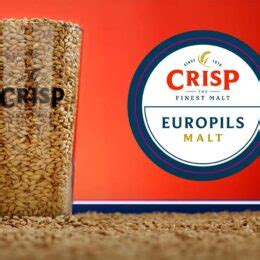 Europils malt 4%, IBU 12