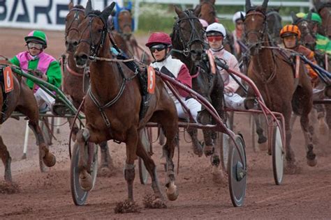 Eurotiercé résultats  Course Ostende Prix Eurotiercé PMU : tous les résultats et les partants de cette course hippique, les cotes & gains empochés par les meilleurs parieurs