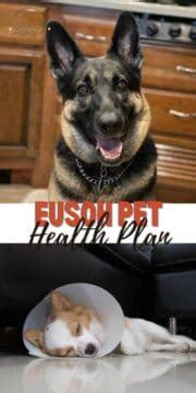 Eusoh pet  Community-based care for your pet that will save you money