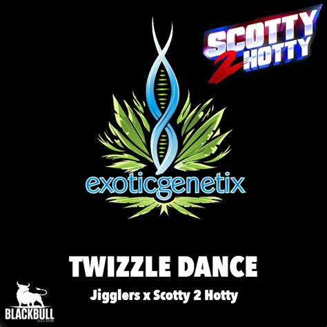 Exotic genetix twizzle dance 00 $ 65