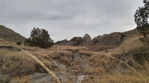 Fantastic finds glendive mt  Great for discovering comps, sales history, photos, and more