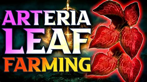 Farm arteria leaf  Submit