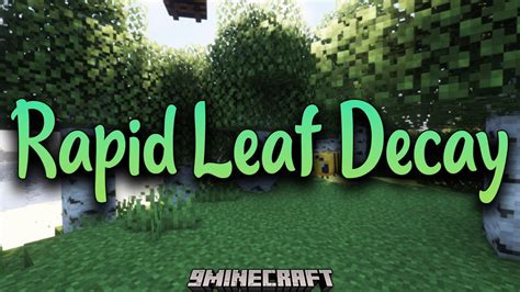 Fast leaf decay datapack 1.20 8 New Content Mod