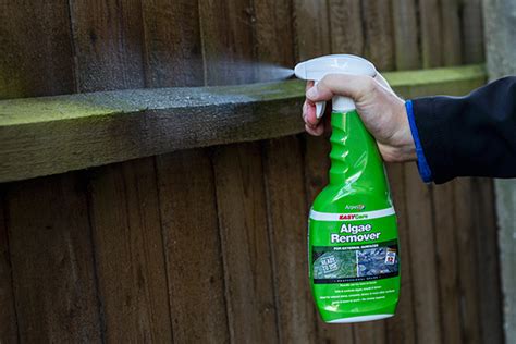 Fence algae remover screwfix  Green algae may also be seen growing in the